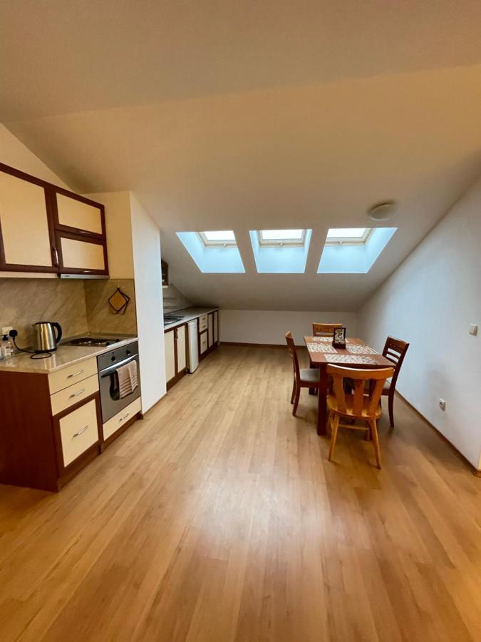 Two bedroom flat in Magernitsa Bansko Buitenkant foto