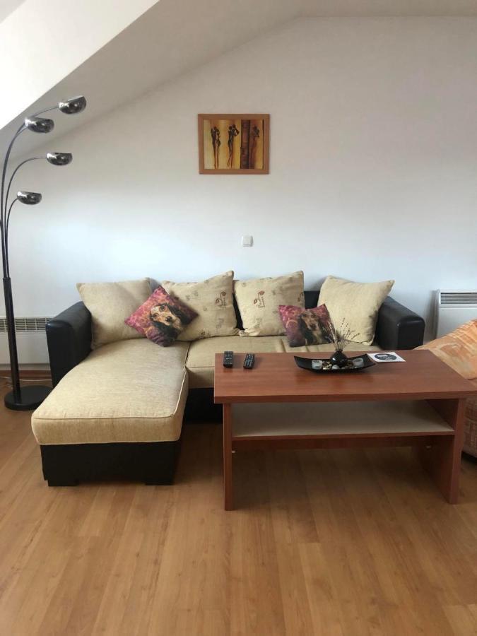 Two bedroom flat in Magernitsa Bansko Buitenkant foto